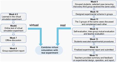 An investigation for the efficacy of teaching model of combining virtual simulation and real experiment for clinical microbiology examination